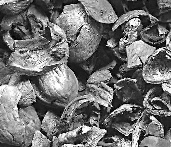 walnuts_550x475.jpg