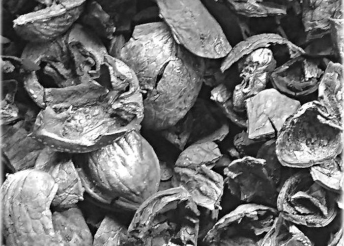 walnuts-700x500.jpg